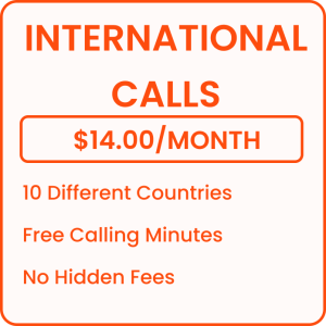 International plans